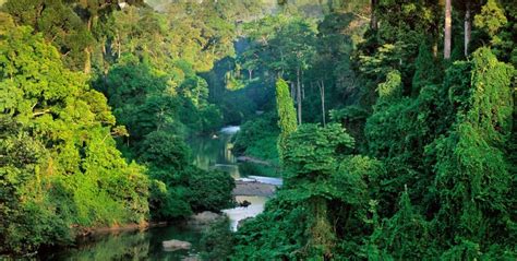 Law of the jungle / s01e01 : VTT dans la jungle de Bornéo - MyAsianTrip