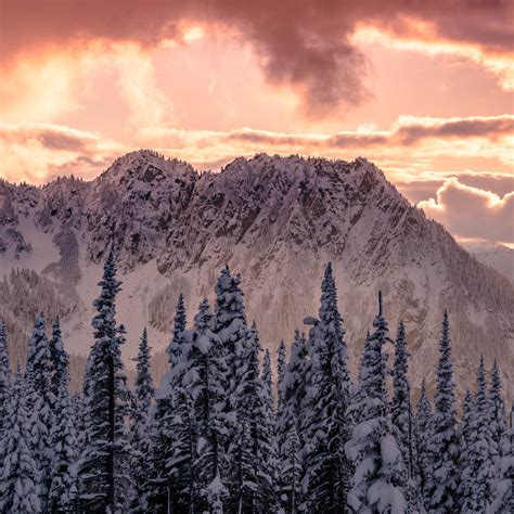 Exploring Mount Rainier In The Winter Travel And Photography Guide