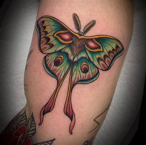 Moth Tattoo Meaning And Symbolism 2024 Guide