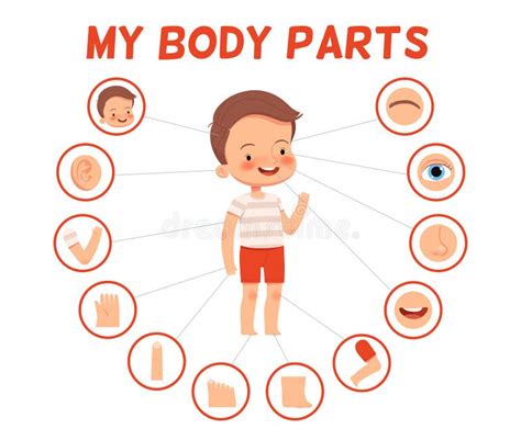 Body Parts Clipart