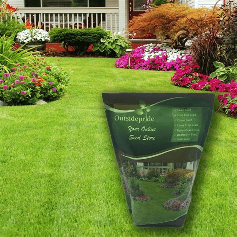 Transform Your Lawn With The Best Tall Fescue Grass Seed