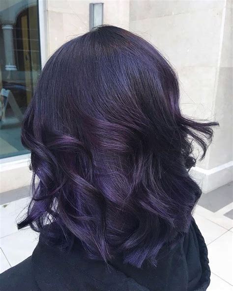 40 Best Collections Midnight Violet Black Hair Color Ion