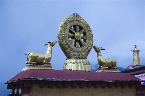 Learn Here What A Dharma Wheel Dharmachakra Means