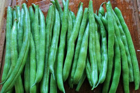 Fresh Green Beans Free Stock Photo Public Domain Pictures