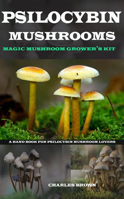 Psilocybin Mushroom Guide All Mushroom Info