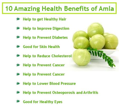 To make amla in honey at home, wash the amlas and pierce it all over a fork. Indian Gooseberry (Amla): 12 Amazing Health Benefits ...
