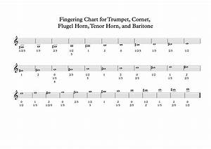 Baritone Horn Chart