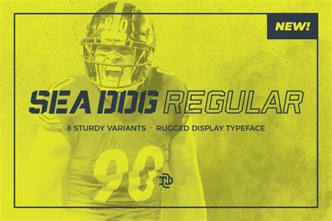 60 Dominating Sports Fonts To Impress Your Fans Hipfonts
