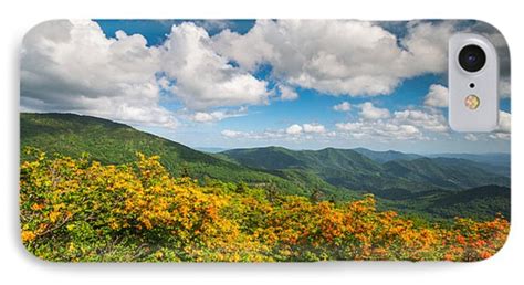 North Carolina Roan Mountain Flame Azalea Flowers Appalachian Trail