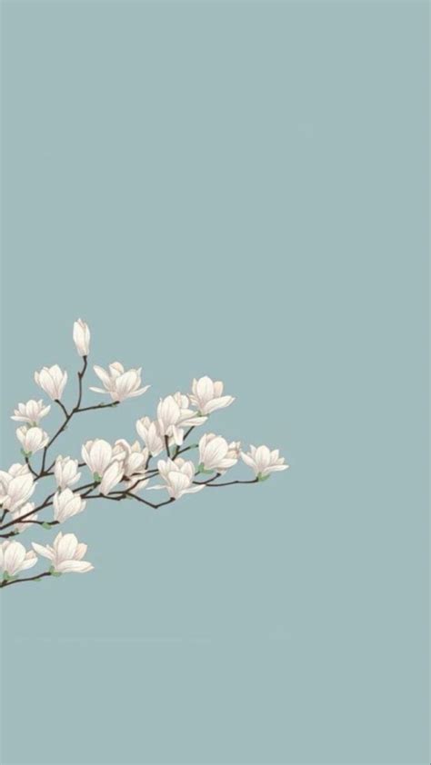 Pin By Zeynep On Wallpaper Backgrounds Phone Wallpapers Simple