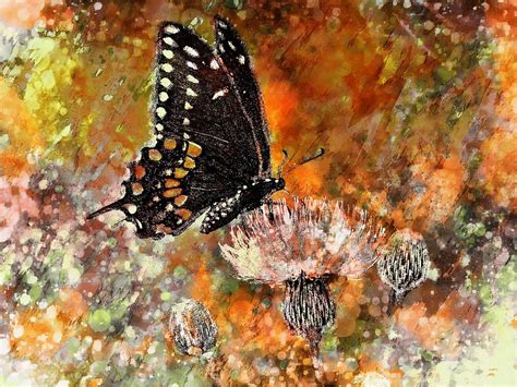 Butterfly Energy Painting By Barbara Chichester