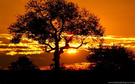 African Sunset Wallpapers Wallpaper Cave