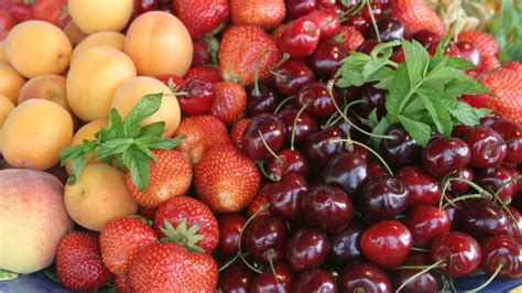 Bitte beachten sie, dass saisonbedingt leider nicht alle artikel dauerhaft in unserem sortiment verfügbar sind. Reifes Obst: Mit diesen Tricks erkennen Sie, ob Ananas ...
