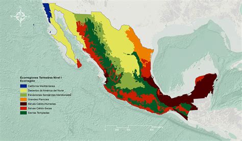 Mapa Biodiversidad En Mexico Dato Mapa The Best Porn Website