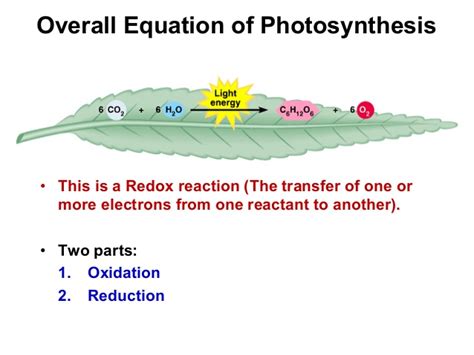 Mno2 + 4hcl → mncl2 + 2h2o + cl2 is a redox reaction. Photosynthesis