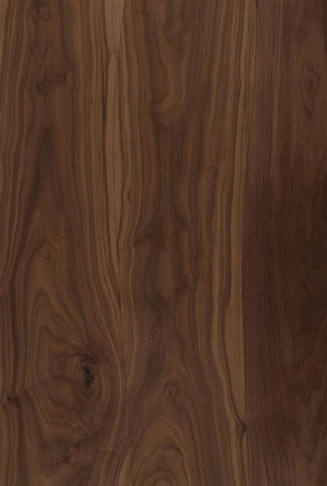 High Resolution Walnut High Resolution Teak Wood Texture