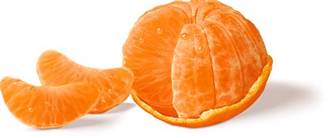 Mandarin Orange Orange Polyvore Pngs Clipart Full Size Clipart