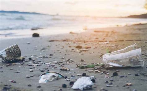 India Jadi Penyumbang Terbesar Sampah Plastik Di Laut Indonesia Solopos Com Panduan