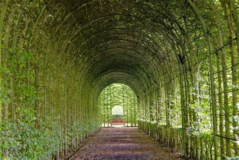 The Poison Garden At Alnwick Castle England Enter If You Dare