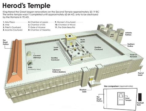 Herods Temple Bible Bible History