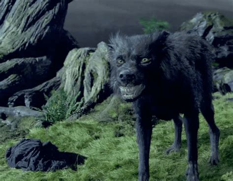 What Kind Of Dog Is Sirius Black From Harry Potter Facts And Faq Hepper