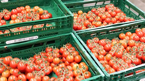 For over a century, aldi has built a name for itself as one of the world's most trusted and awarded retailer of high quality groceries and lifestyle products. Die Herkunft der ALDI Tomaten - ALDI SÜD Blog