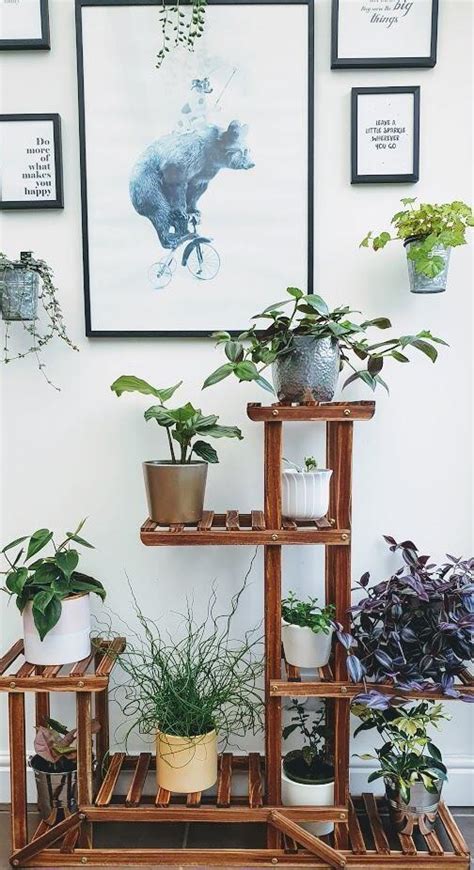 Easy House Plant Display Ideas The Reading Residence