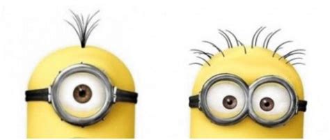 Why Do Some Minions Have One Eye And Some Have Two Q A Answertion