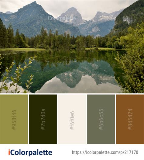 Color Palette Ideas From Reflection Nature Wilderness Image Earth