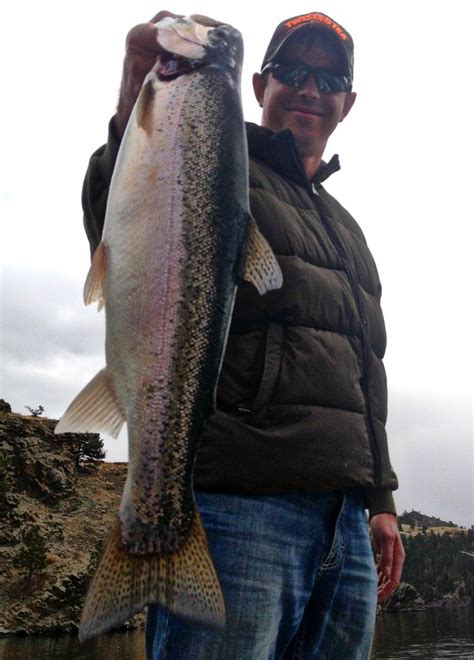 Reeling In The Rainbows At Holter Reservoir Montana Hunting And