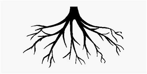 Roots Clipart Clip Art Library