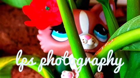 Lps Photography Youtube