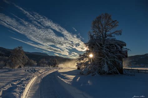 Wallpaper Winter Sun Sky Clouds Snow Trees House Path Road