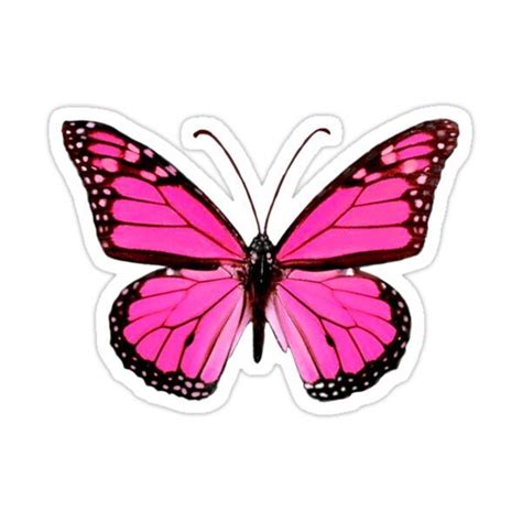 Hot Pink Butterfly Sticker By Emmagsheehan Hot Pink Butterfly