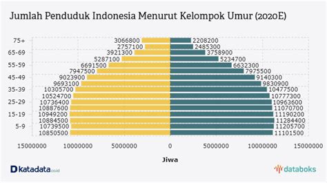 Jumlah Penduduk Indonesia Diproyeksikan Mencapai 270 Juta Pada 2020