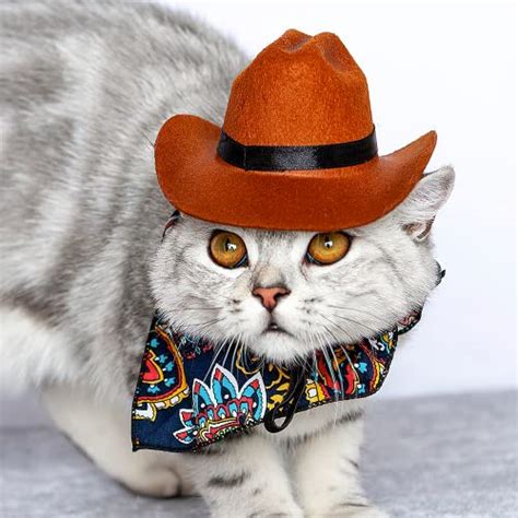 Best Cowboy Hat For Cats 10 Fun And Fashionable Options