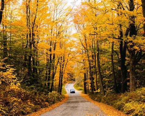 Ultimate Connecticut Fall Foliage Road Trip Guide