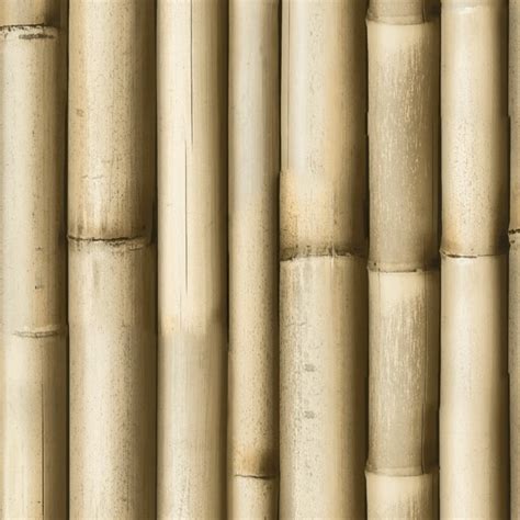 Bamboo Texture Seamless 12266