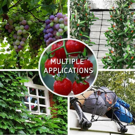 Trellising Is Important For Your Plants Why Vivosun Blog
