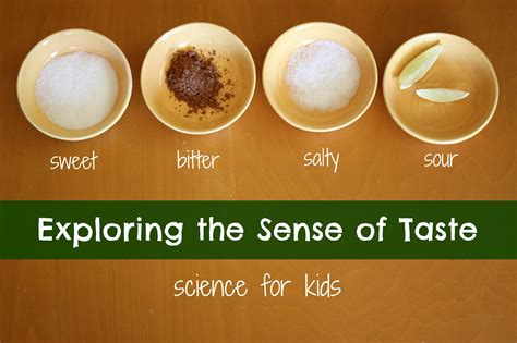 Exploring The Sense Of Taste Learn Play Imagine