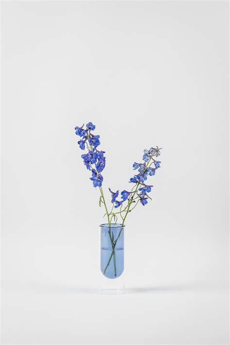 Send a beautiful gift of fresh flowers with personalised message, graphic, photo or your company logo printed & embossed on petals of roses, orchids tulips and more on a special day for one to remember a birthday why leave it unspoken when embossed flower can effectively convey the message! FLOWER TUBE, LOW TUBE, BLUE, 65160B i 2020 | Glasvase ...