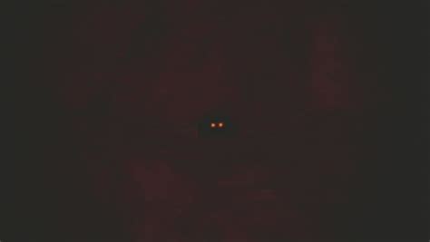 Glowing Eyes Of A Feral Cat At Night Stock Footage Video 5845406