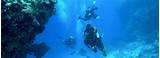 Pictures of Cruises With Scuba Diving