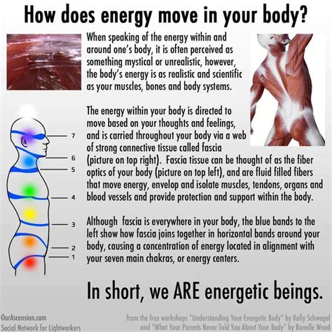 Energy The Fascial Tissue Energy Healing Energy Healing Reiki Body Energy