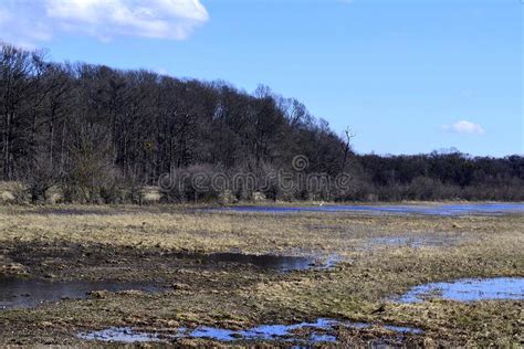 Spring Flooding Of The Floodplain Forest In South Moravia Stock Photo