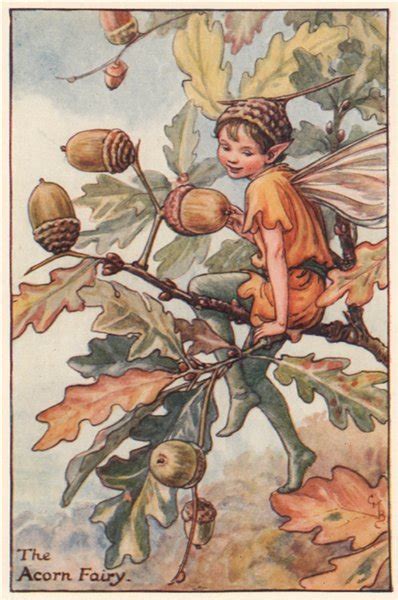 Acorn Fairy By Cicely Mary Barker Autumn Flower Fairies C1935 Old Print