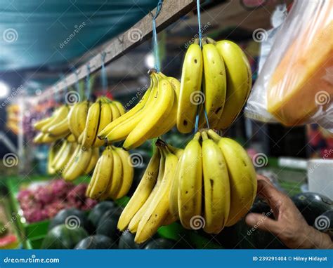 Bunch Of Hanging Bananas Stock Photo Image Of Fruit 239291404