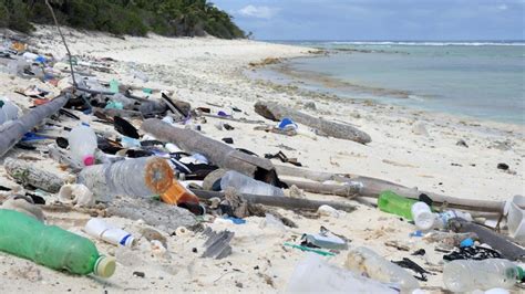 Plastic Waste Washing Up On Beaches Increasing Threat To Turtle