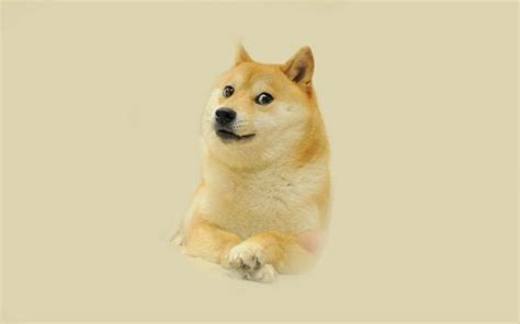 Doge Meme Wallpaper Wide Or Hd Meme Wallpapers Doge Doge Meme Hd
