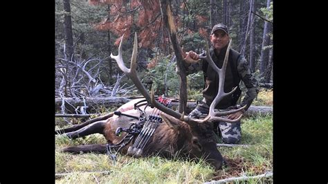 Archery Elk Hunt In The Back Country Of Montana Back In Business